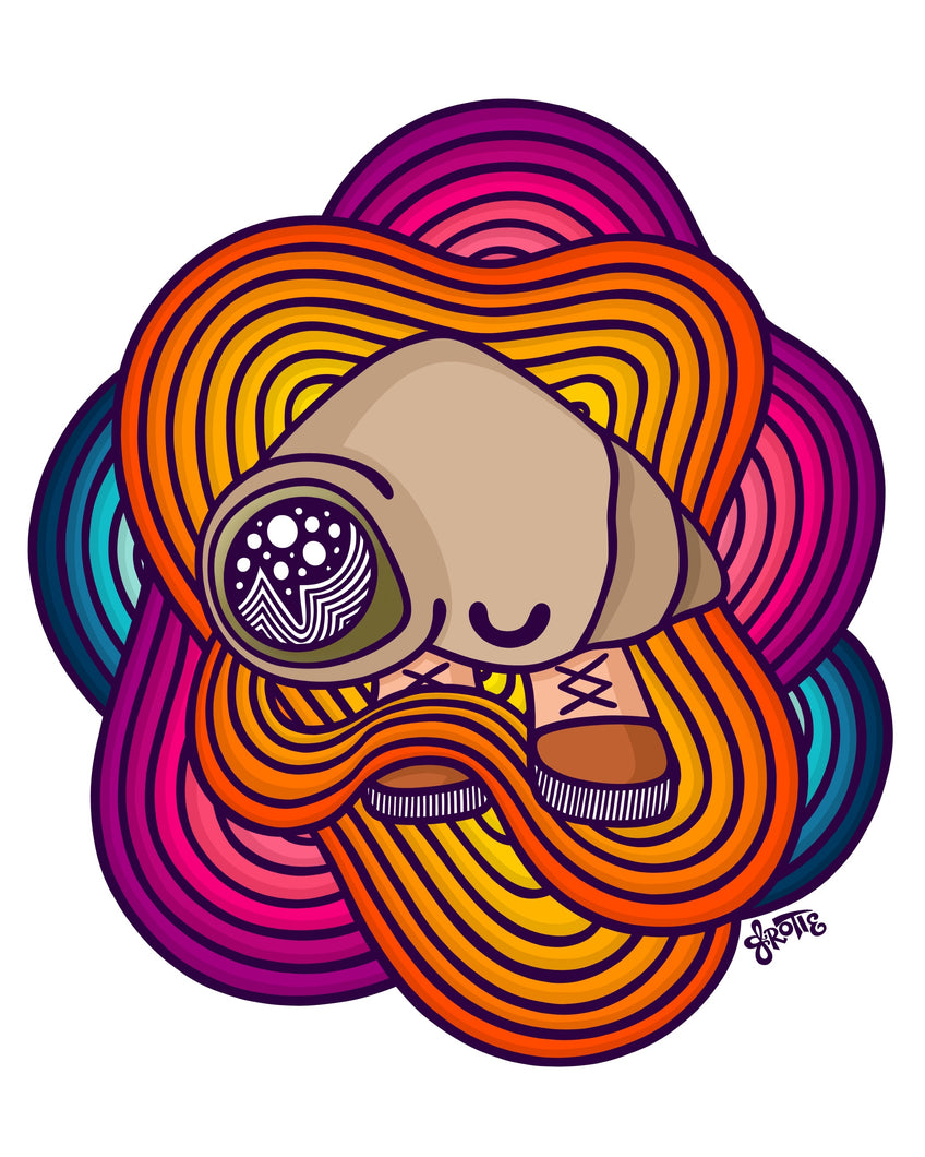 Partly Shell